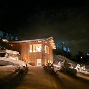 Chalet ski-in ski-out with jacuzzi in Nendaz